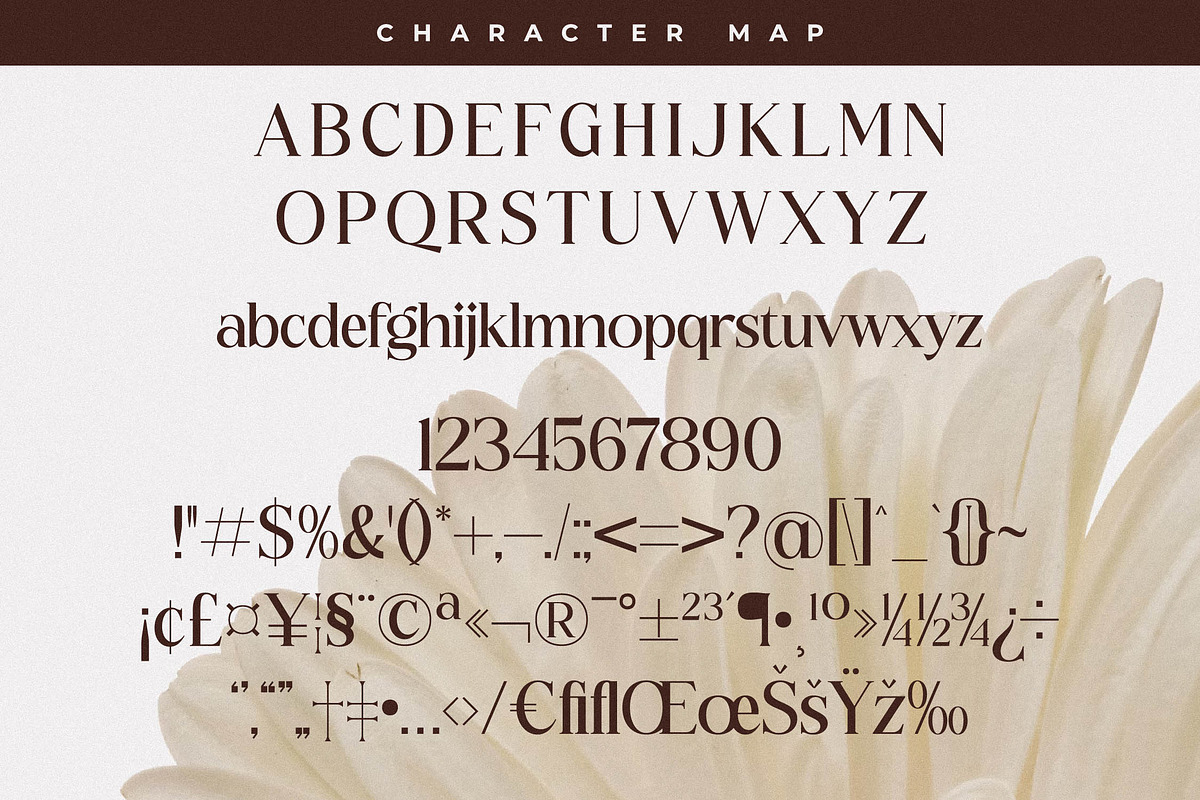 Floral Paradise Font Duo, a Serif Font by Storytype Studio (Photo 11 of 15)