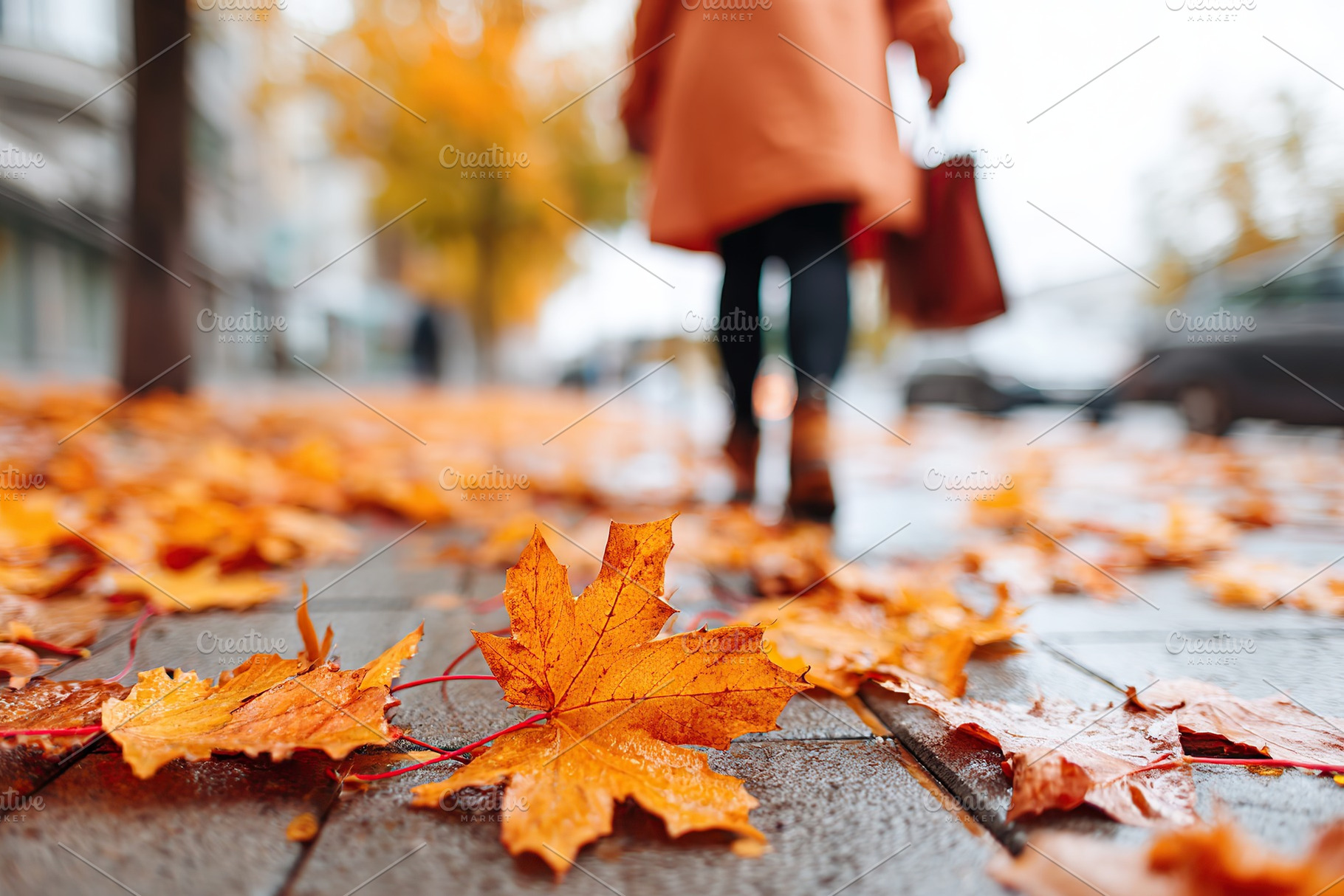 Person walking on sidewalk covered with fallen leaves in autumn, a Photo by AlyaAnd