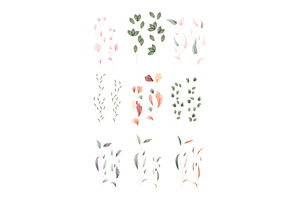 Watercolor leaves diverse artistic, an Object Illustration by okskukuruza