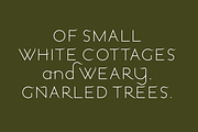 Windswept. Stunning sans serif font, a Sans Serif Font by LostandFoundry (Thumbnail 2 of 8)