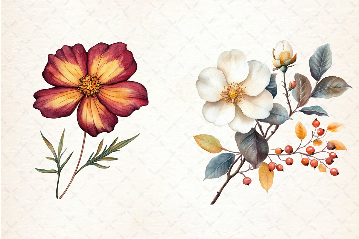 Watercolor Fall Flower Clipart, an Illustration by Libby Wishes (Photo 4 of 7)
