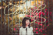 The Ultimate Class Script, a Script Font by PutraCetol Studio (Thumbnail 5 of 10)