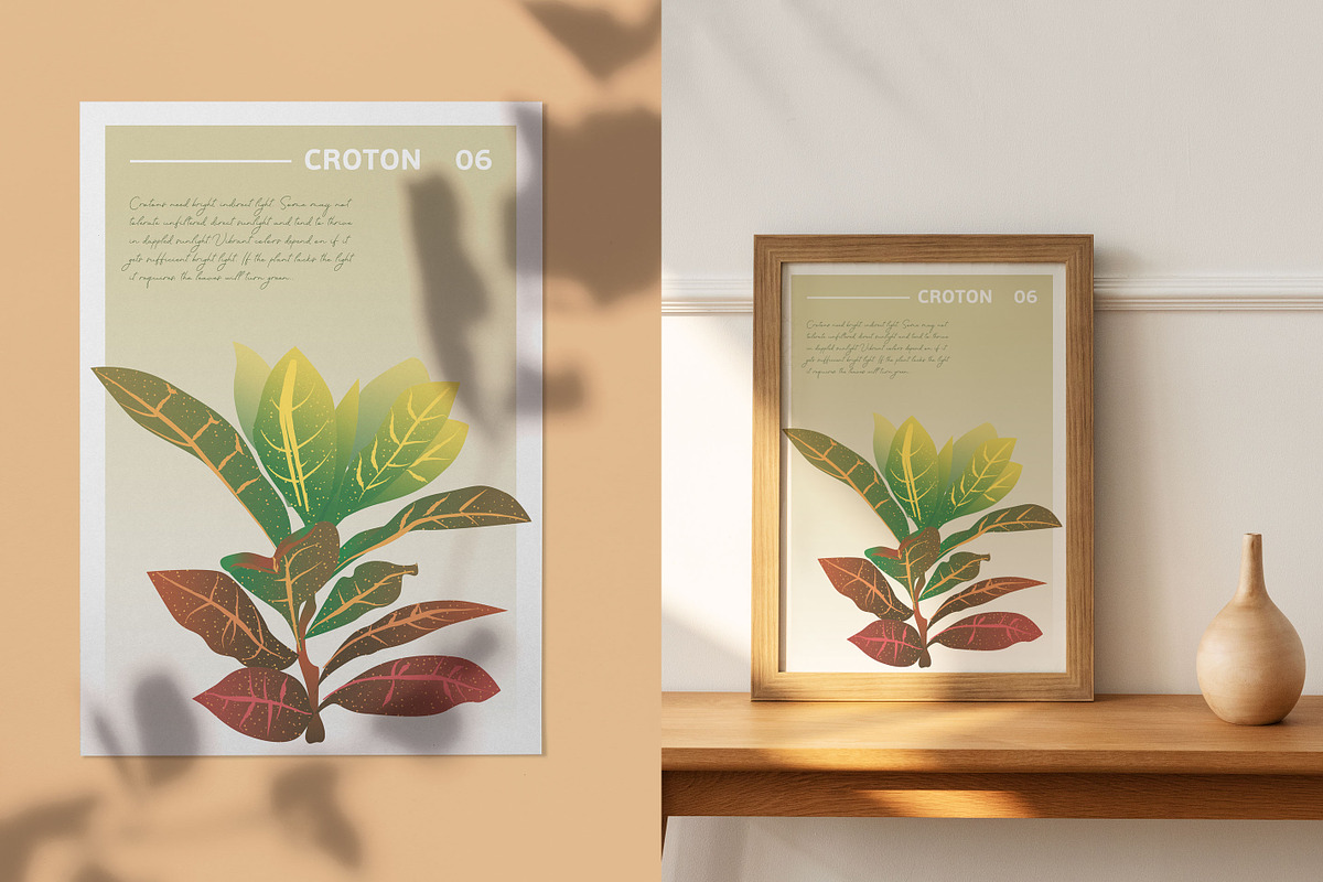 6 House Plants | Botanical Bundle, a Decorative Illustration by Lines And Crafts (Photo 6 of 7)