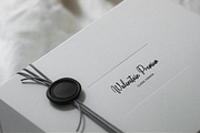 Moonlit Muse Handwritten Script Font, a Script Font by gracetype_studio (Thumbnail 4 of 12)