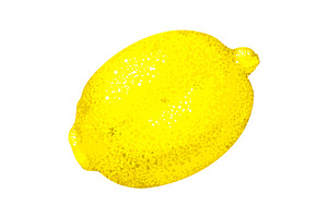 Lemon fruit isolate vector art