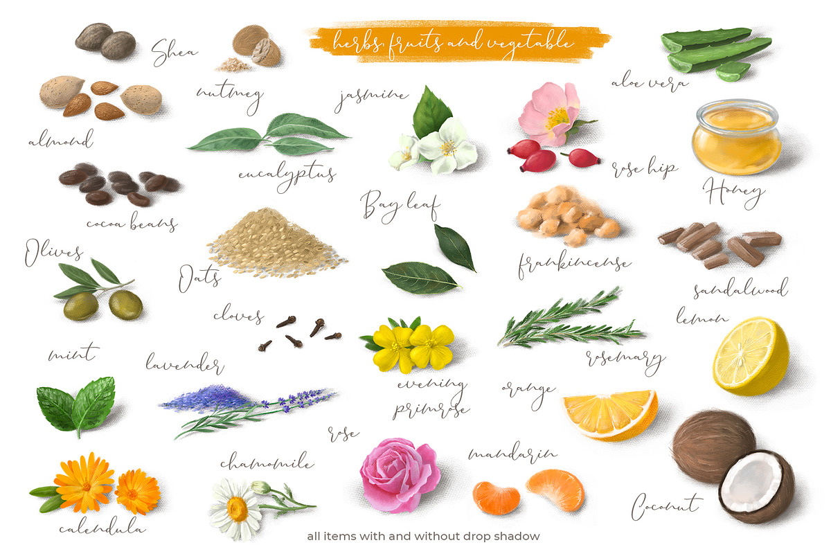 Cosmetics Recipes Creator Set, an Illustration by LeiaSW (Photo 4 of 6)