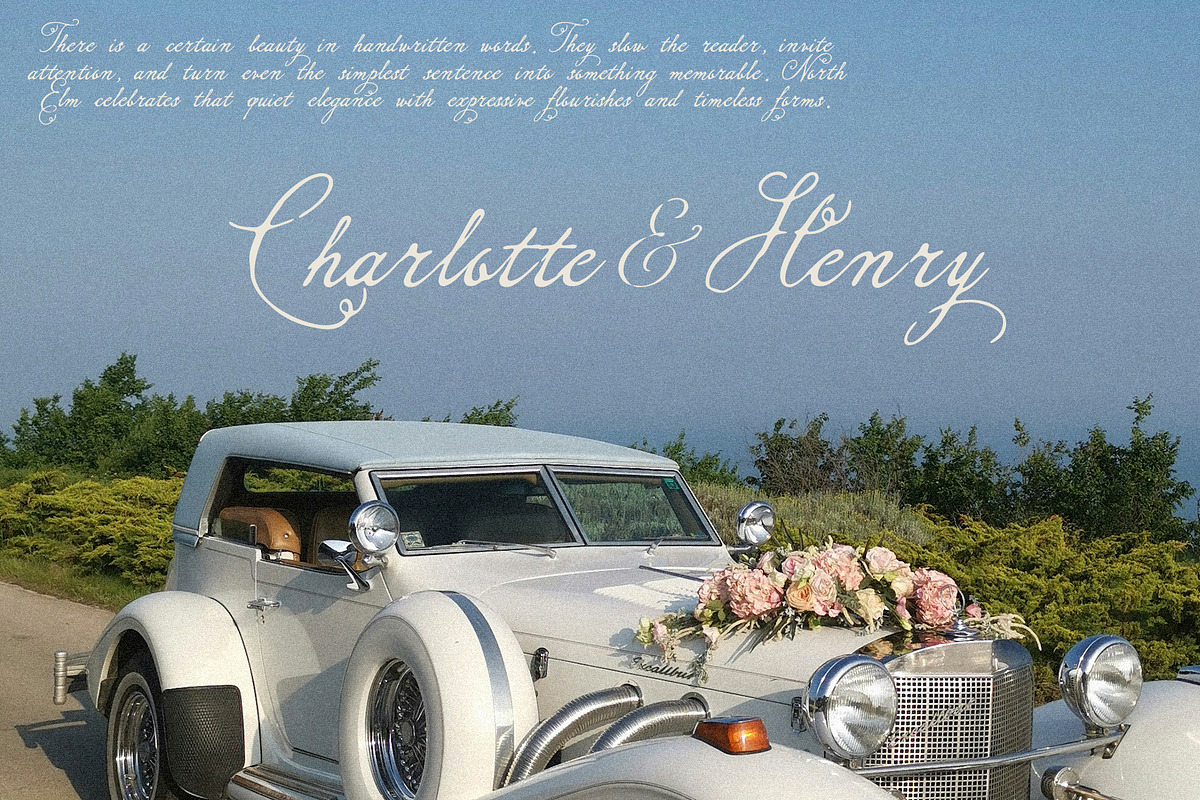 North Elm - Decorative Script Font, a Script Font by Mneme (Photo 3 of 8)