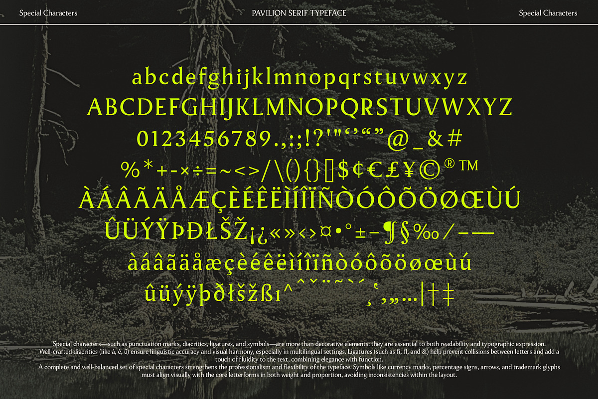 Pavilion Serif Typeface, a Serif Font by God Control (Photo 11 of 12)