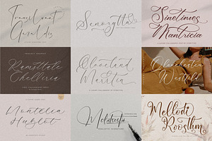 75 Elegant Script Font Bundle