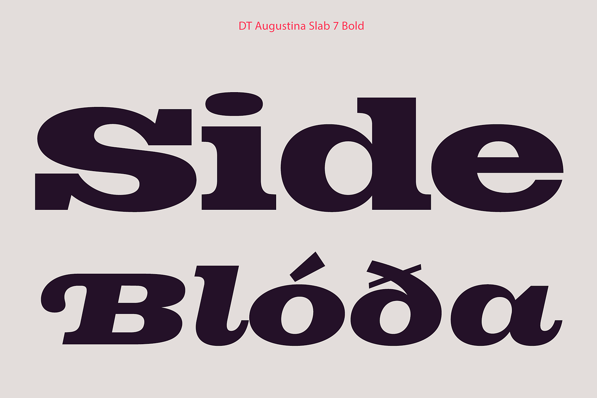 DT Augustina Slab 7 Subfamily, a Slab Serif Font by Deveze Type Foundry (Photo 13 of 31)