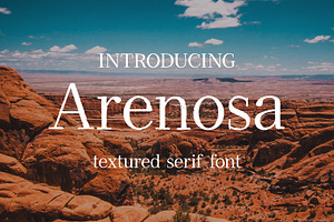 Arenosa Textured Serif Font