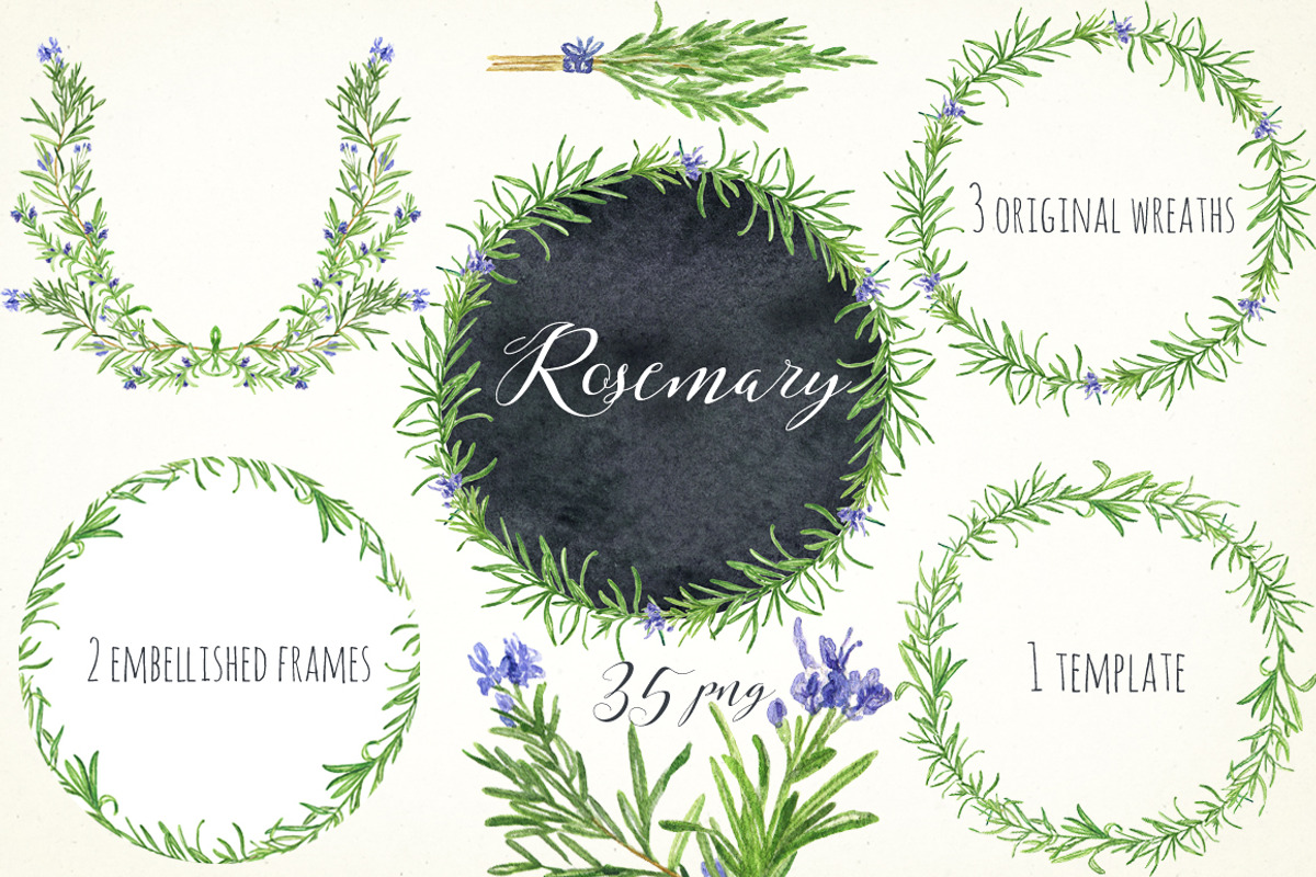Rosemary. Watercolor clip art., a Decorative Illustration by LABFcreations (Photo 1 of 5)