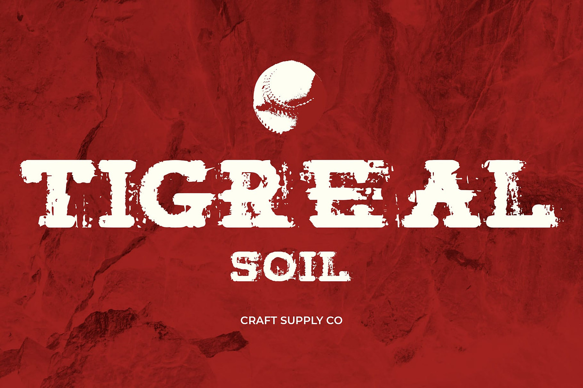 Tigreal Soil, a Slab Serif Font by Craft Supply Co. (Photo 1 of 8)