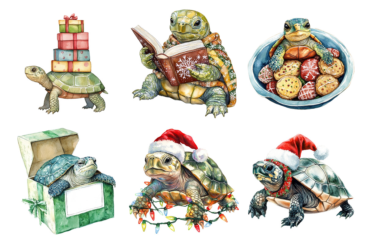 Christmas Funny Turtle Clipart, an Illustration by Daily.Designs (Photo 5 of 5)