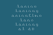 Washgoem - Modern & Serif Typeface, a Serif Font by QR Design Studio (Thumbnail 7 of 10)