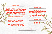 Sendang Mulyo — Just $12 !, a Script Font by Typehand Studio (Thumbnail 5 of 6)