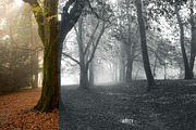 10 Matte B & W Landscape Drama, a Preset Add-On by Timeless Presets (Thumbnail 4 of 17)