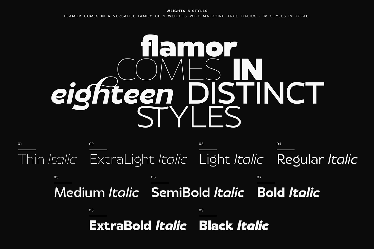 Flamor - Editorial Sans Serif Family, a Sans Serif Font by VP Fonts (Photo 13 of 23)