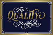 Controwell Victorian Typeface 30%!, a Serif Font by alit design (Thumbnail 3 of 13)