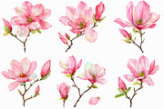 Watercolor Pink Magnolia clipart, an Illustration by Libby Wishes (Thumbnail 6 of 7)