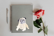 Pug Dog Illustration Bundle, an Illustration by Foxery Digital (Thumbnail 7 of 8)