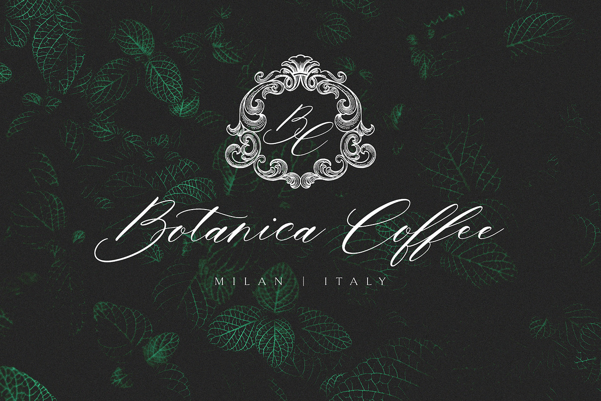 Bonami Font, a Script Font by Ivan Rosenberg (Photo 11 of 11)