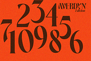 Averdyn, a Serif Font by zaaintype (Thumbnail 5 of 10)