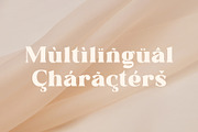 Quails | A Modern Display Serif, a Serif Font by Andrimada Creative (Thumbnail 13 of 13)