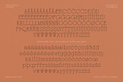 Marjolaine Type - A delicate Serif, a Serif Font by CarmineType (Thumbnail 21 of 24)