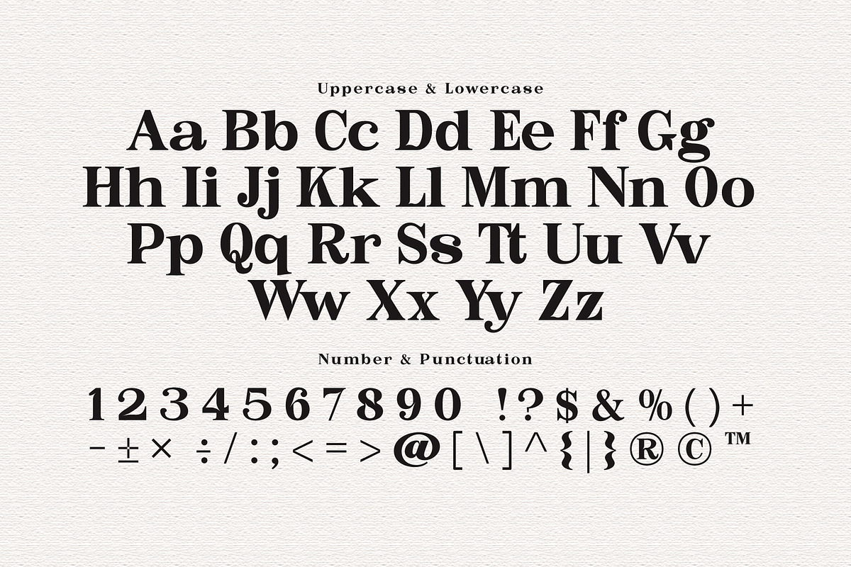 Bastine - Modern Classy Serif Font, a Serif Font by Afkari Studio (Photo 3 of 16)