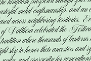 Francy Tiguan | Classy Script Font, a Script Font by Jolicia Type (Thumbnail 12 of 12)