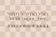 Baikan, a Serif Font by Rishsketch (Thumbnail 10 of 13)