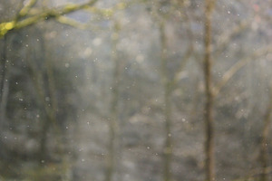 Natural Dust