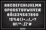 Regius Typeface, a Serif Font by Jan-Christian Bruun (Thumbnail 10 of 12)