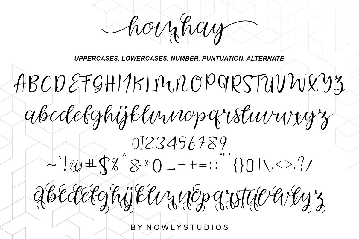 Homhay Script, a Script Font by Nowlystudios (Photo 6 of 7)