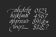 Zalika - Italic Calligraphy Font, a Blackletter Font by Cititype (Thumbnail 4 of 12)
