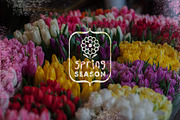 90% OFF Super Bundle Frames & Badges, an Object Graphic by Jean Balogh (Thumbnail 6 of 30)
