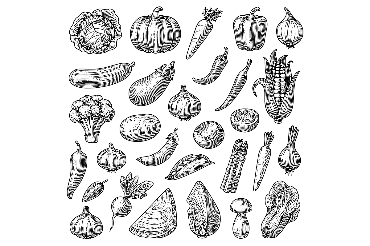 Vegetable  Illustration Pack, an Object Graphic by nikagraphic