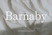 Barnaby | A Minimalist Text Serif, a Serif Font by Jen Wagner Co (Thumbnail 1 of 10)