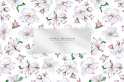 Apple Blossom, a Decorative Illustration by Olga Koelsch (Thumbnail 6 of 9)