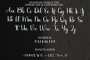 Welcome Beach, a Handwritten Font by FreshTypeINK (Thumbnail 5 of 7)