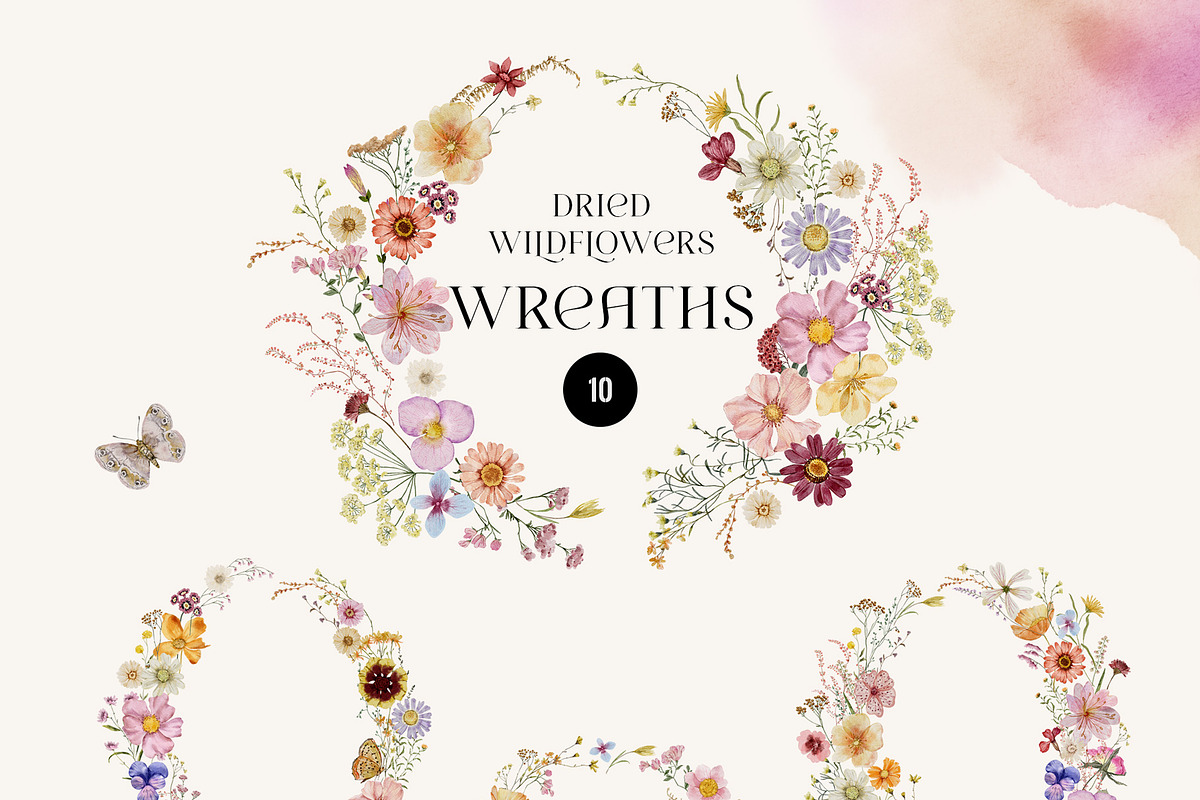 Dried Wildflowers - watercolor flora, an Illustration by SunnyAfternoons (Photo 3 of 15)