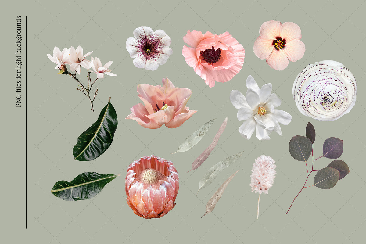 Isolated real flowers clipart set, an Object Graphic by The Graphic Parade (Photo 3 of 14)