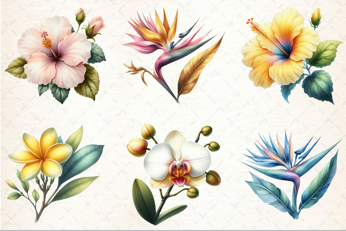 Hawaiian Flowers Watercolor Clipart, an Illustration by Rose Art (Photo 3 of 7)