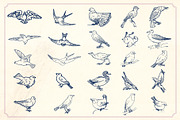 Vintage Hand Drawn Birds, an Object Graphic by Mr Vintage (Thumbnail 2 of 6)