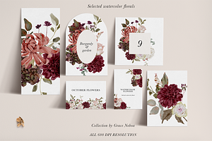 Burgundy & Blush Watercolor Florals