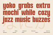 Nanika, a Sans Serif Font by Typeskets (Thumbnail 8 of 15)
