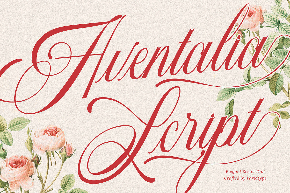 Aventalia Script - Elegant Font, a Script Font by Variatype (Photo 1 of 10)