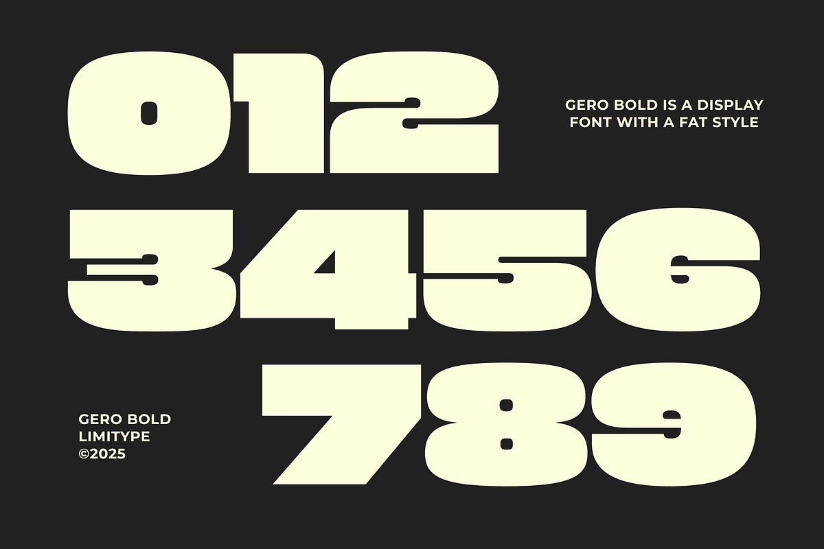Gero - Bold Font, a Sans Serif Font by limitype (Photo 10 of 12)