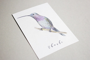 Watercolor Birds Set